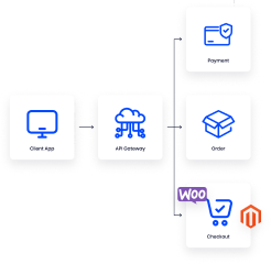 Diagram showing custom payment integration